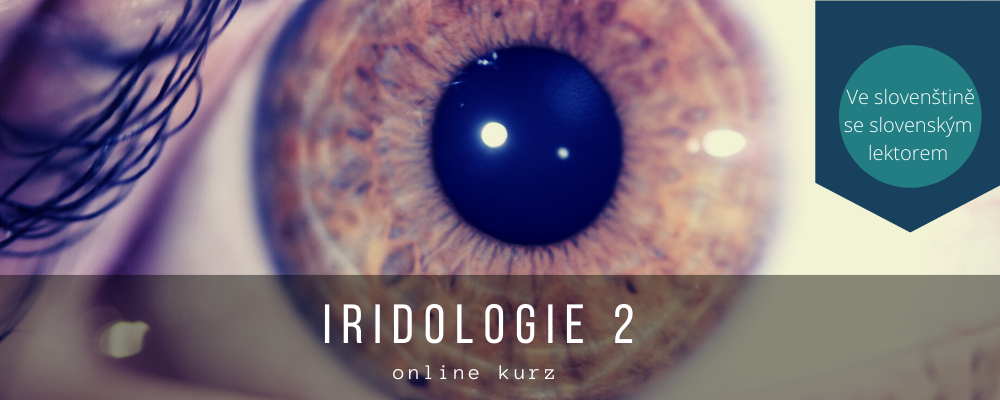 Iridologie